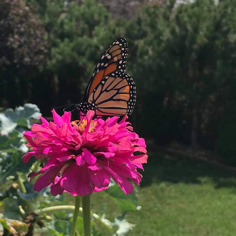 Meet your Posher, Rachel